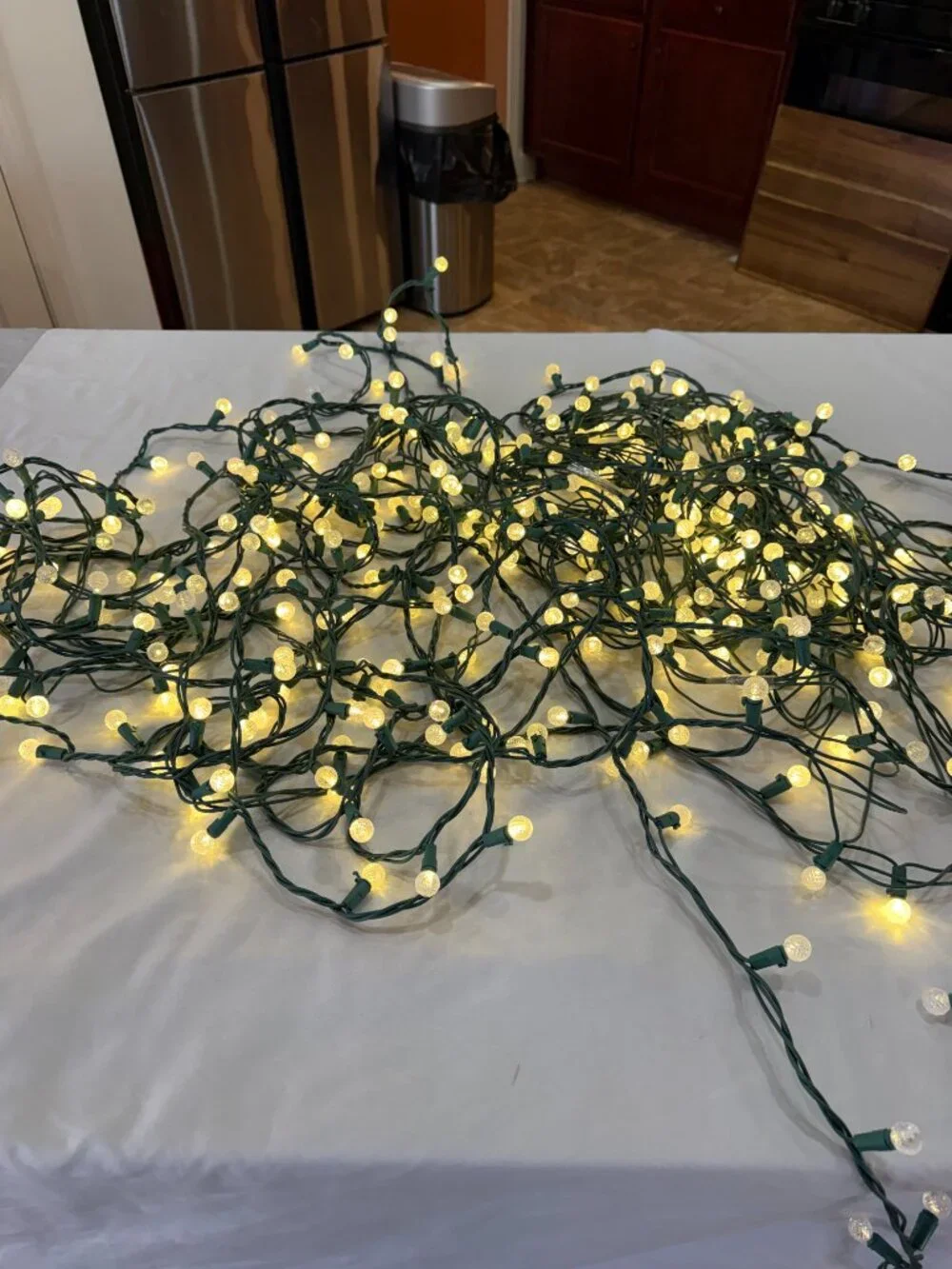 Christmas String Lights Warm White Globe Green Wire Long Set of 2